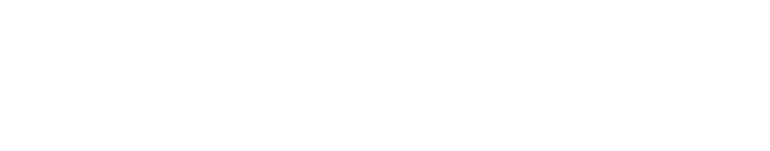 THE GRAPHIC UNDERGROUND